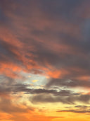Letter from Lori: Reflections & New Beginnings