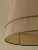 Lamp Fern