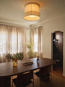 Lamp Fern