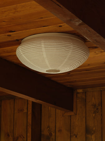 Lantern Natural